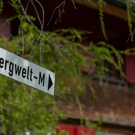 Bergwelt-m Schröcken